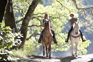 ¿Cuándo es el próximo fin de semana largo?