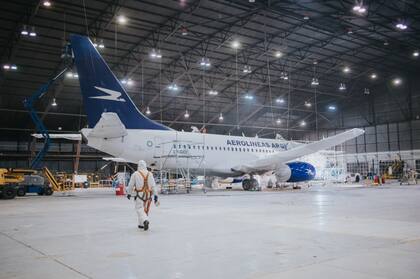 El avión pintado es un Boeing 737-700 que se utiliza para vuelos de cabotaje y regionales
