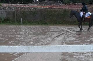 Postergado el GP Nacional, Holly Woman le escapó a un mordisco y a los surcos