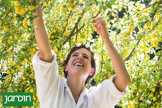 Cómo pensar un jardín que dé frutos, perfume y placer todo el año