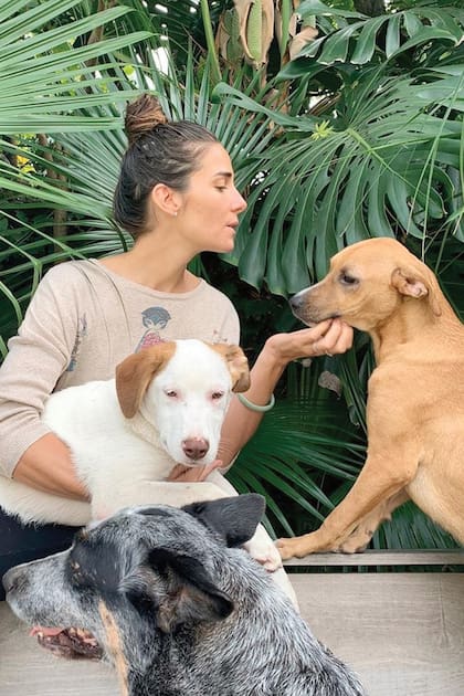 Durante la cuarentena, Juana Viale adoptó dos perros del refugio de la ex modelo. “Una hembrita y un macho. Ellos fueron abandonados y ayer llegaron a mi hogar”, escribió la nieta de Mirtha en su Instagram el 23 de abril.