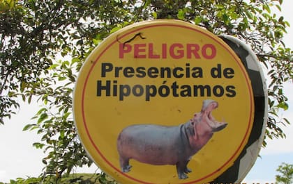 01/01/1970 Alerta de hipopótamos en la antigua hacienda de Pablo Escobar 
