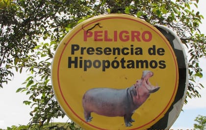 01/01/1970 Alerta de hipopótamos en la antigua hacienda de Pablo Escobar