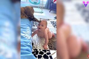 La emotiva amistad entre este bebé de ocho meses y una gata escocesa ha conmovido a los usuarios de la red