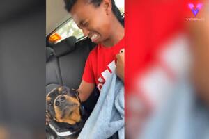 Este joven con pánico a los perros reacciona despavorido cuando se le acerca un rottweiler