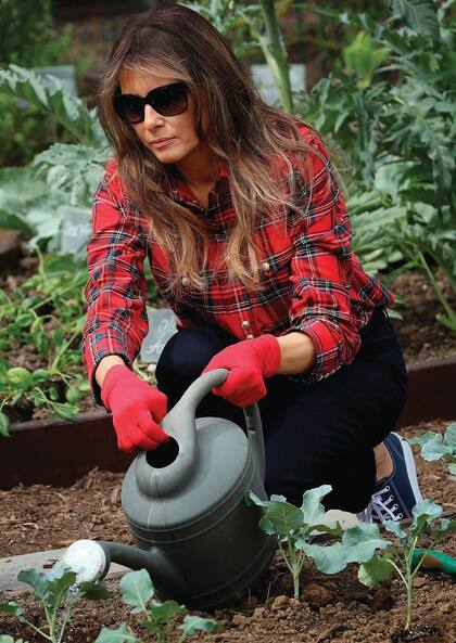 Para trabajar en su huerta, Trump posó para los fotógrafos con prendas costosísimas.