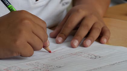 La dislexia afecta a 1 de cada 10 chicos argentinos