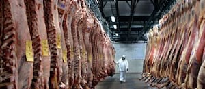 México concedió una prórroga clave tras detectar fallas en 10 frigoríficos exportadores de carne