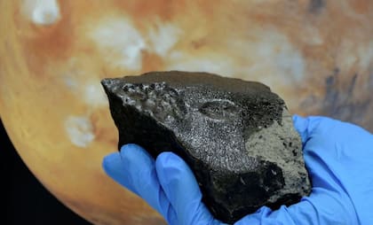 12/01/2023 Fotografía del meteorito Tissint, cortesía de Kurt Kracher, Museo de Historia Natural de Viena. POLITICA INVESTIGACIÓN Y TECNOLOGÍA KURT KRACHER, NATURAL HISTORY MUSEUM VIENNA.