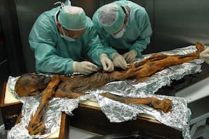12/07/2018 El primer análisis en profundidad del contenido estomacal de Otzi, el cadáver momificado por el frío durante 5.300 años, hallado en 1991 en un glaciar alpino, comió por última vez alimentos ricos en grasa POLITICA INVESTIGACIÓN Y TECNOLOGÍA SOUTHTYROLARCHAEOLOGYMUSEUM\EURAC\M.SAMADELLI