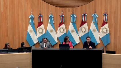 14 provincias se congregaron en la legislatura de Córdoba para reavivar el Parlamento del Clima