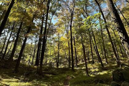 151 hectáreas de senderos, aves y una rica fauna compuesta por ciervos, marmotas, y más