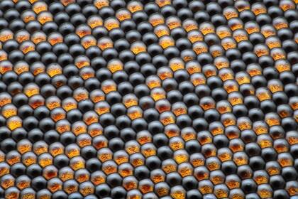 16. Detalle del ojo de una mosca (Razvan Cornel Constantin, Rumania)