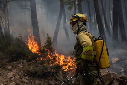 16 June 2022, Spain, Zamora: A firefighter works to extinguish the forest fire in Sierra Culebra. Photo: Emilio Fraile/EUROPA PRESS/dpa