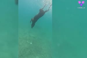 17/07/2023 Un perro de rescate con miedo al agua se convierte en buceador de récord. MADRID, 17 (EDIZIONES) Un valiente perro de salvamento que antes tenía miedo al agua ha hecho lo impensable y se ha convertido en un buceador de aguas profundas "que bate récords mundiales". SOCIEDAD YOUTUBE - VIDELO - DANIEL BEES