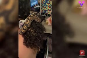 Esta mujer utiliza una serpiente pitón como coletero y ha subido el vídeo a redes sociales