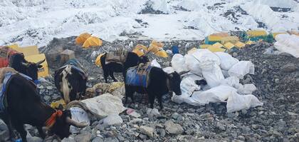 18/06/2023 Recogida de basura en el campamento base del monte Everest SOCIEDAD ASIA NEPAL COMITÉ DE CONTROL DE LA CONTAMINACIÓN SAGARMATHA