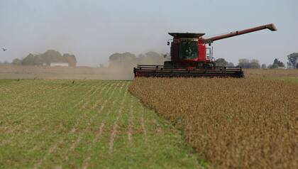 2. Agricultura: en nuestro país, los recursos naturales están valorizados por el informe en US$16.185 por habitante