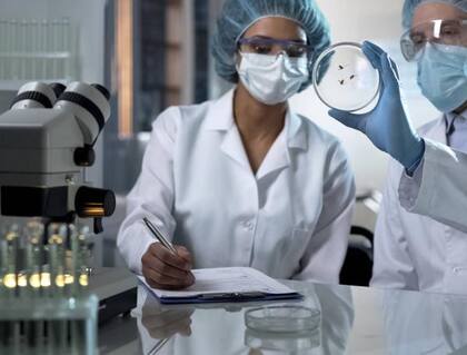 2000 especies de insectos forman parte habitual de la dieta de miles de millones de personas en distintas regiones del planeta