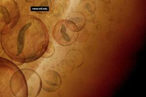 Una vía química para que la vida prospere en las nubes de Venus