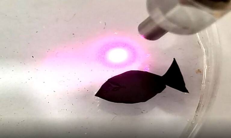 Este pez robótico del MIT casi pasa por uno de verdad y se controla