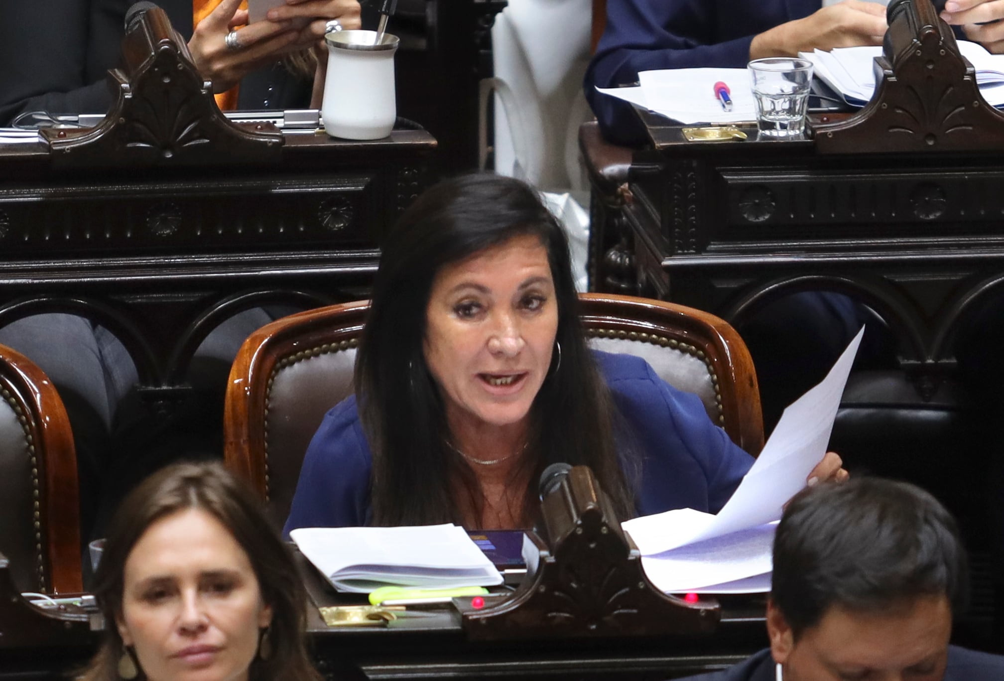 La diputada Laura Rodríguez Machado (LLA Córdoba) tuvo una participación protagónica en la sesión