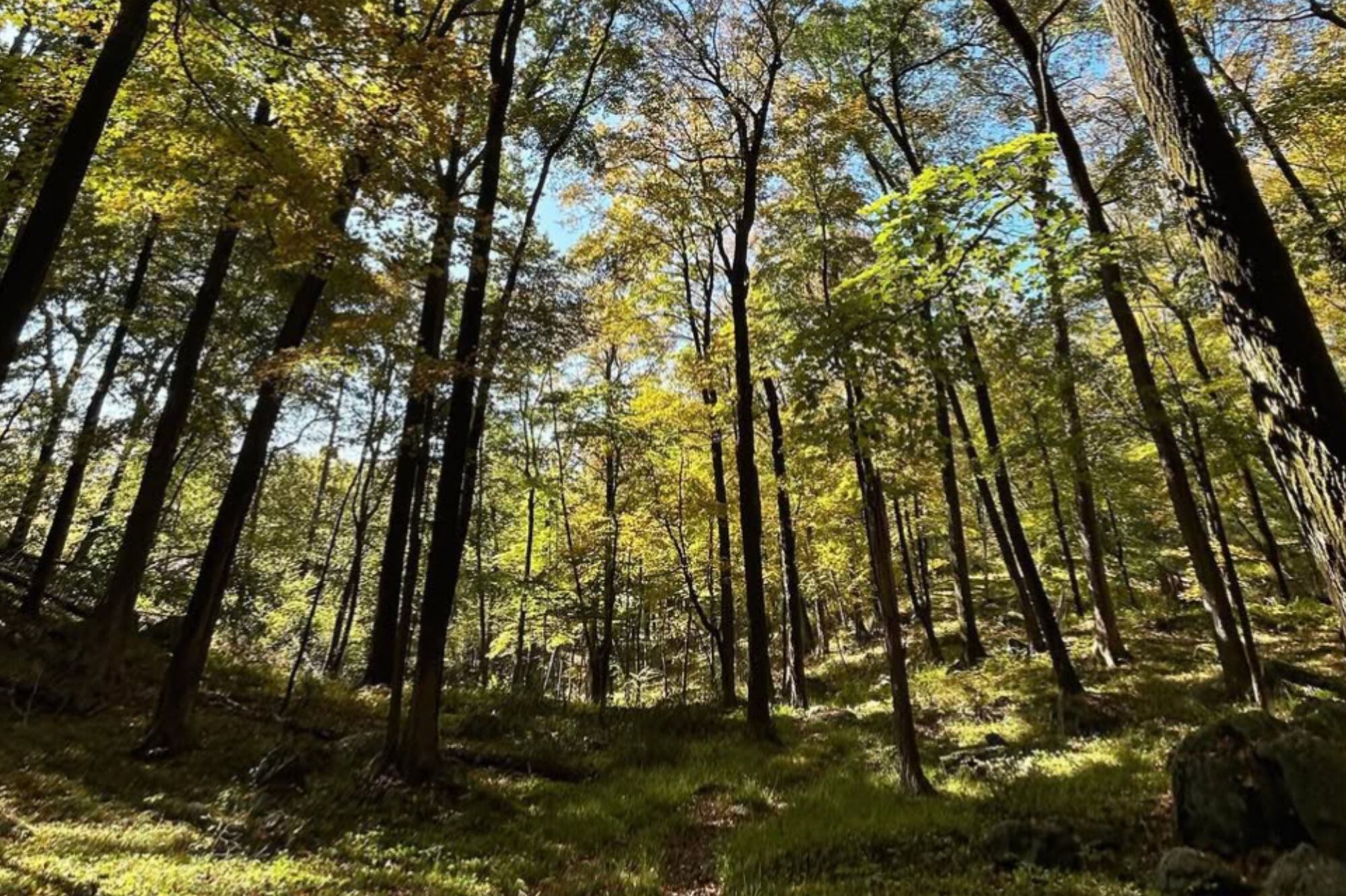 151 hectáreas de senderos, aves y una rica fauna compuesta por ciervos, marmotas, y más