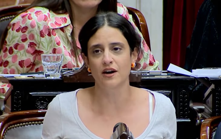 La diputada kirchnerista, Lucía Cámpora, subrayó irregularidades en la audiencia pública que se convocó en el marco del tratamiento de esta ley