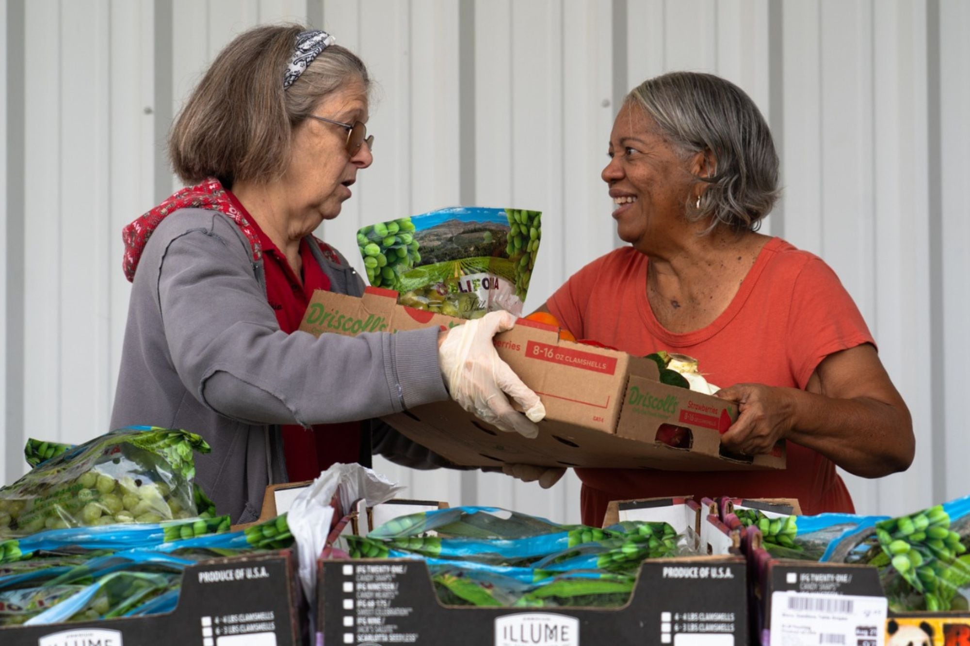 Comida gratis en Texas: ¿dónde repartirán alimentos sin costo en noviembre 2025?