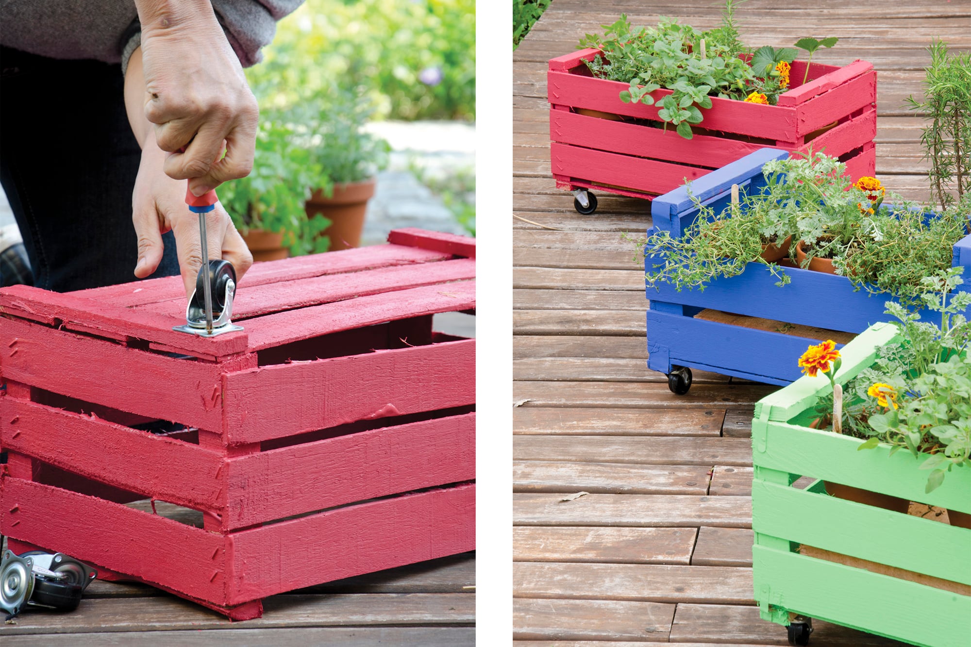 Macetas con ruedas, manijas o hechas con materiales livianos permiten mover las plantas según el sol, el clima o tu humor