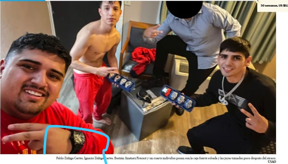 Parte de la banda internacional que cayó por robar en la casa de Del Potro