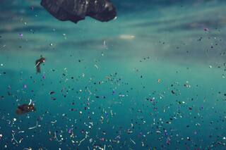 Bajar un 5% anual los microplásticos estabilizaría su presencia marina