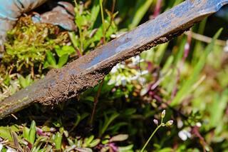 Qué herramientas necesitás para armar una huerta en tu casa
