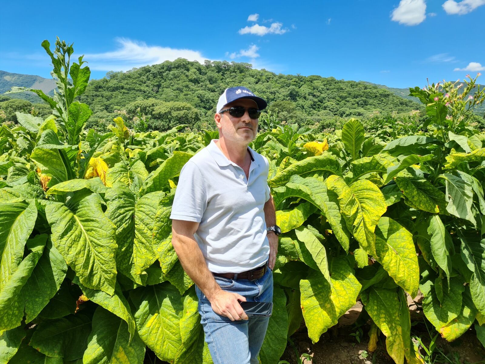 Denuncian que el contrabando de cigarrillos puso en vilo el negocio de producir tabaco