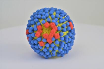 28/10/2019 Modelo del virus de la gripe, influenza SALUD NIAID