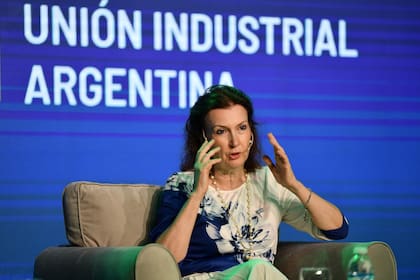 29 Conferencia Industrial; Unión Industrial Argentina. Diana Mondino, Canciller electa de LLA