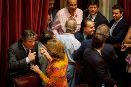 29/12/2014.- El presidente del Senado, Amado Boudou, en discusión legislativa con Beatriz Rojkés de Alperovich, el día de la aprobación. De fondo, el ex presidente Carlos Saúl Menem, legislador por La Rioja