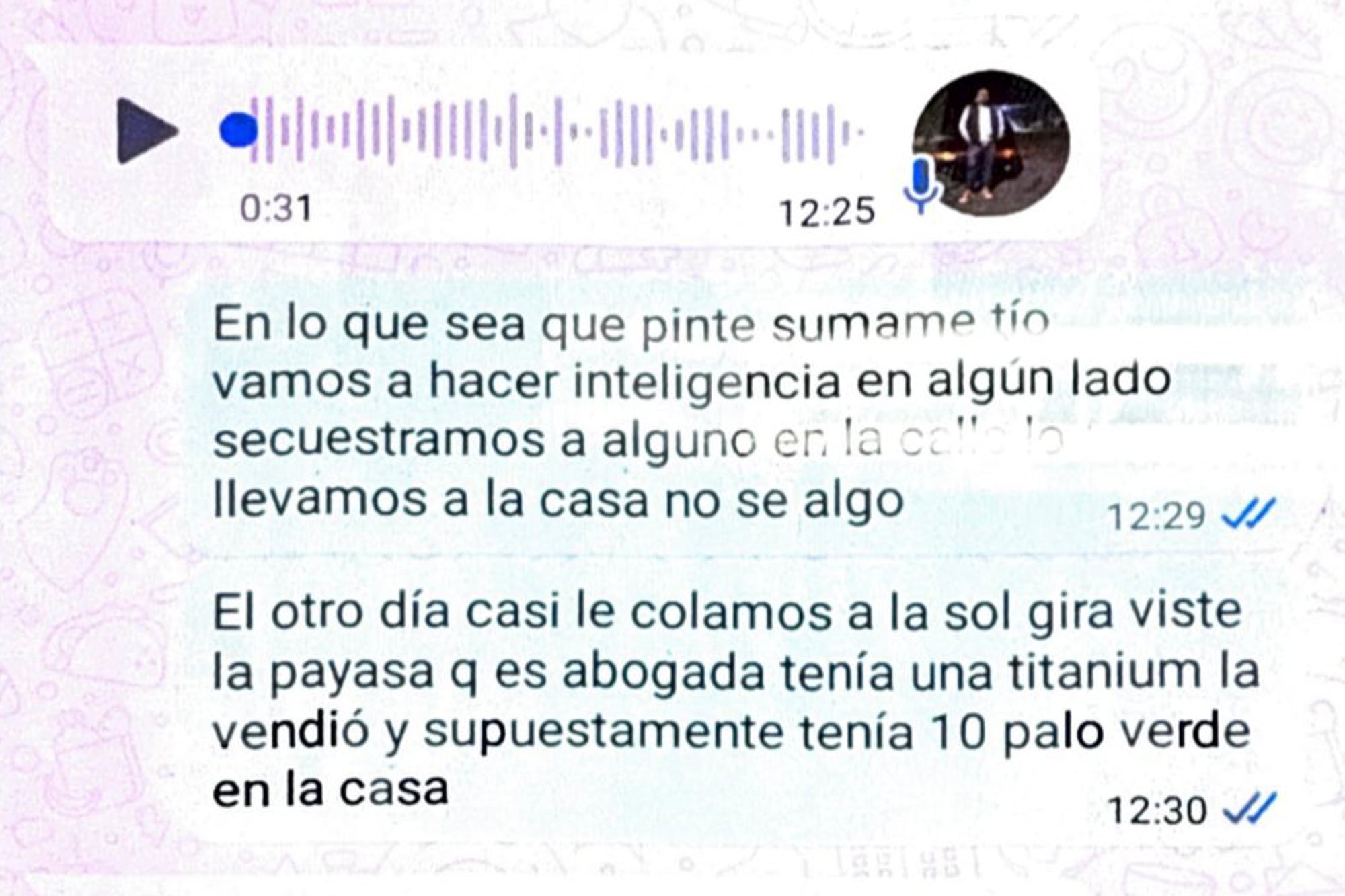 La caída de la banda de barrabravas que robaba techos solares de autos en Vicente López y San Isidro