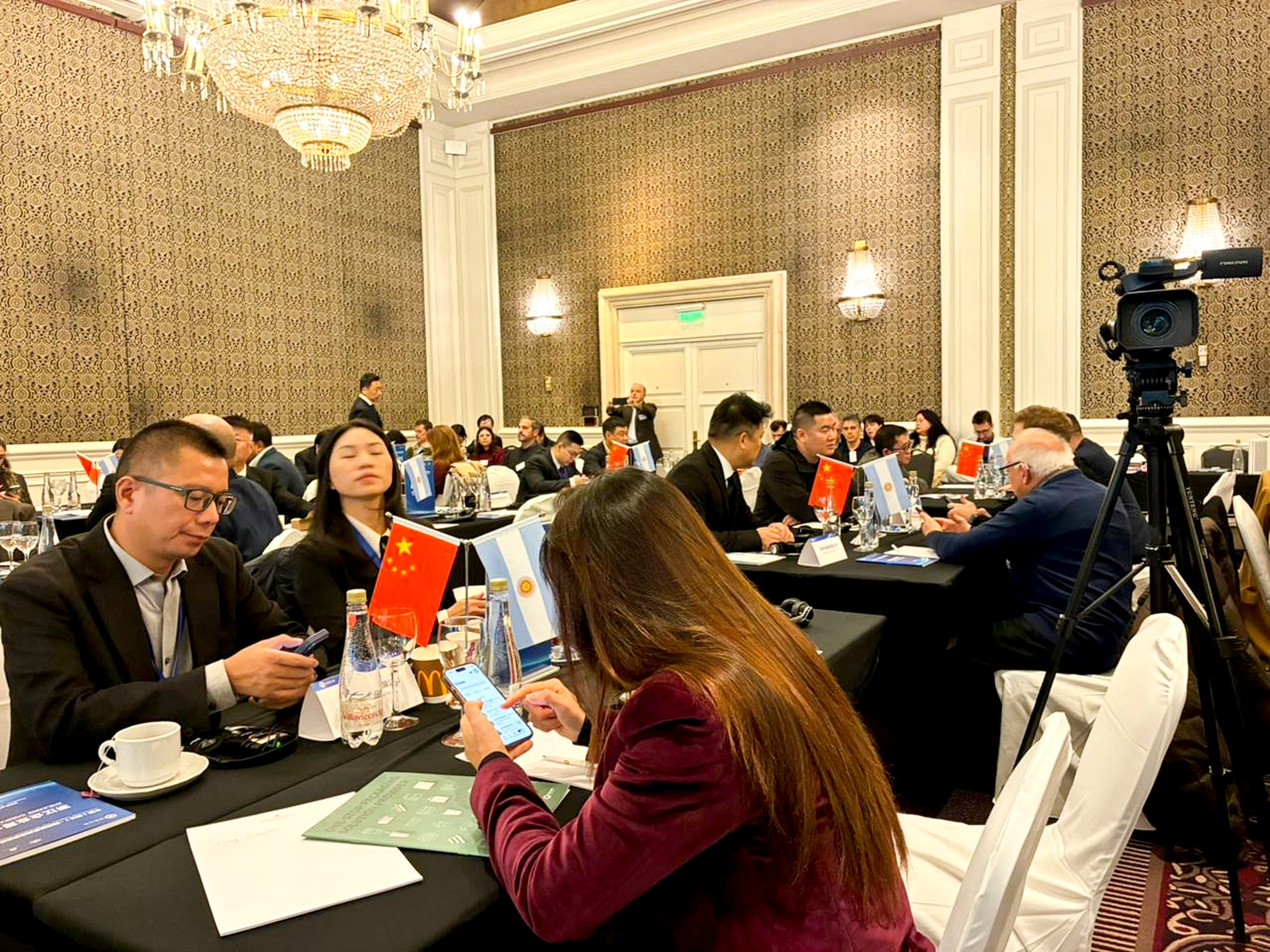 Empresas chinas en la Argentina