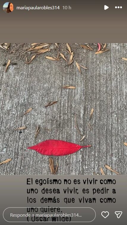 El lapidario posteo de Paula Robles contra Marcelo Tinelli tras la denuncia de su hija Juana: “Huye del egoísta” 7 Paula Robles citó una frase de Oscar Wilde para graficar su desazón por la situación que vive su hija Juana