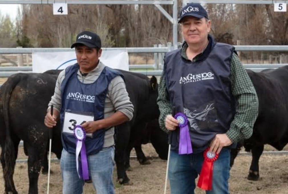 Ya vende 30 toros por año: se fue a la Patagonia y comenzó de cero un ambicioso proyecto en un lugar hoy muy pujante 7 En el Idevi, cerca de Viedma, Edgardo Tejeda combina silaje de maíz, pasturas y selección genética para producir reproductores