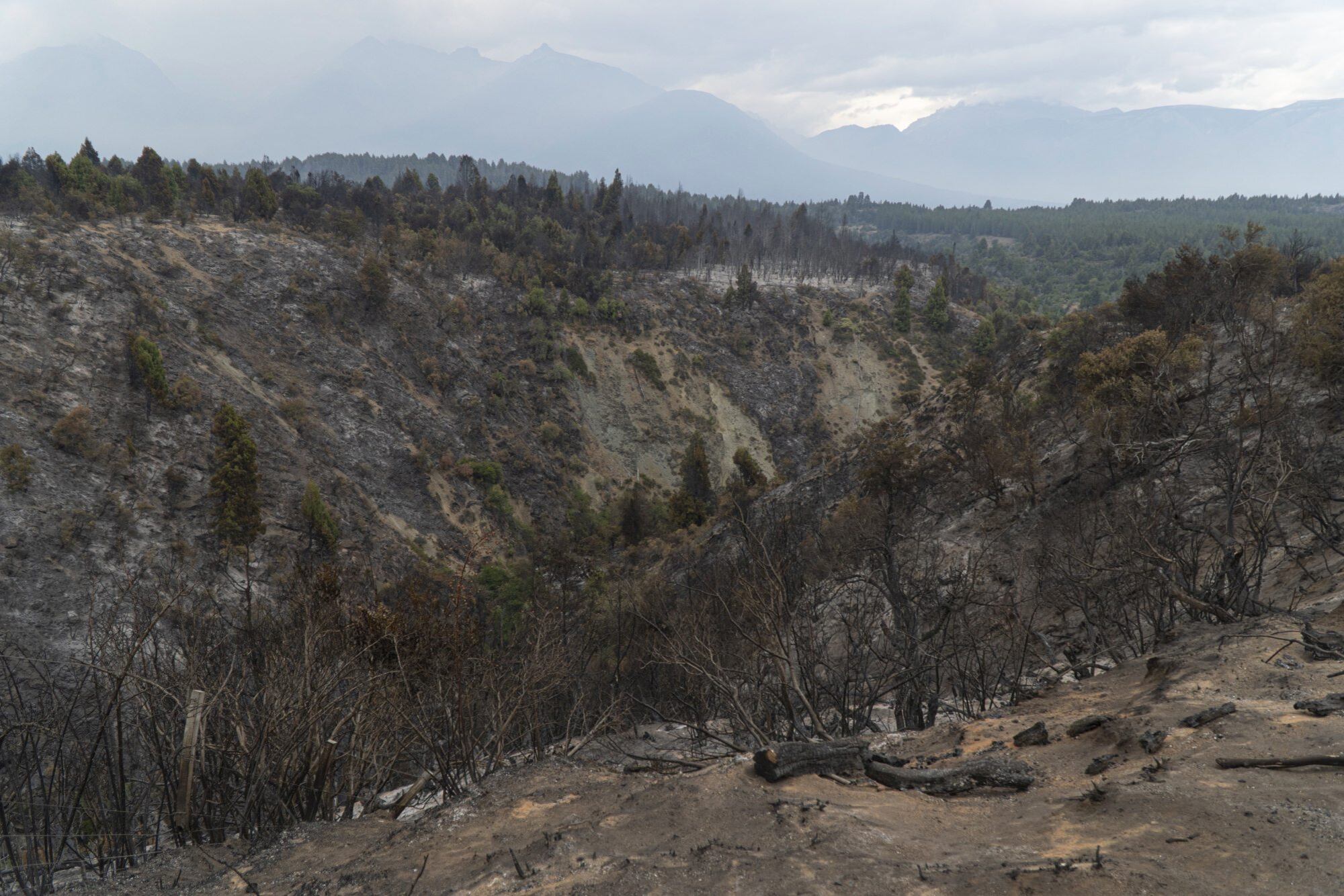 Cholila, otra de las localidades afectadas