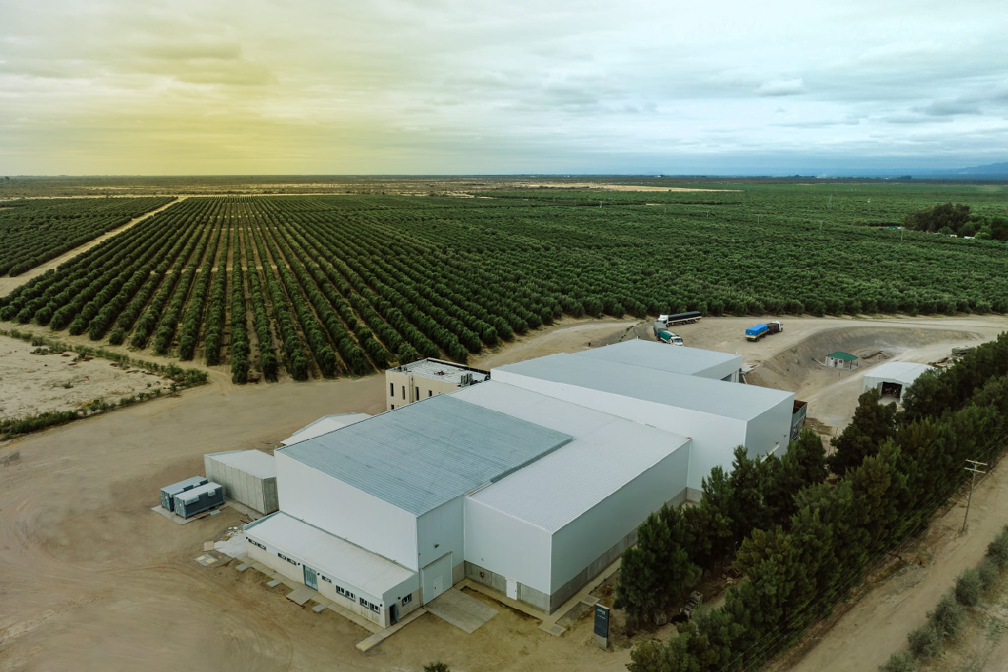 En 2025, SolFrut inauguró en San Juan una planta de fraccionamiento de aceite de oliva