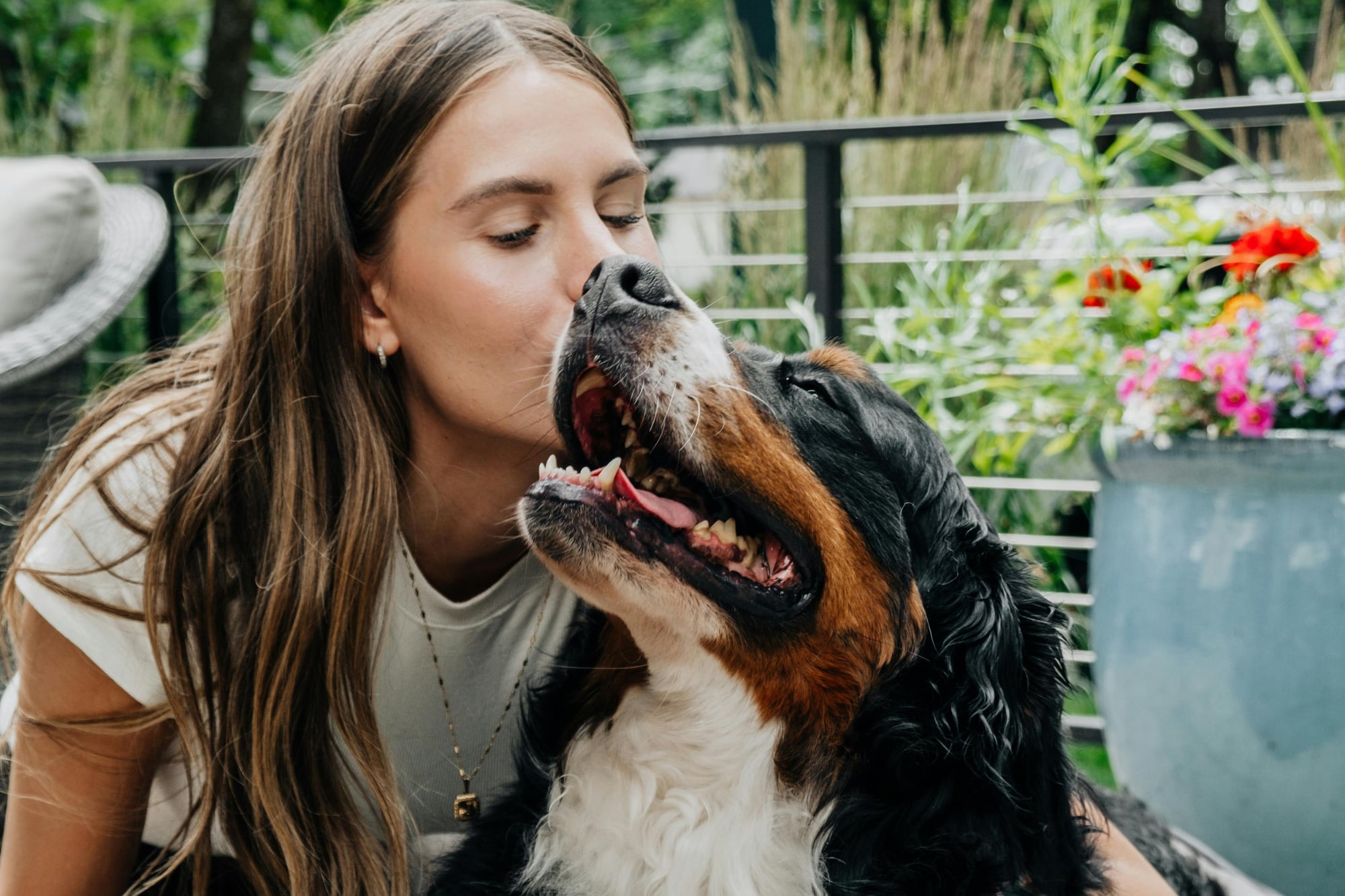 Los seguros de mascotas también deberán mejorar su transparencia