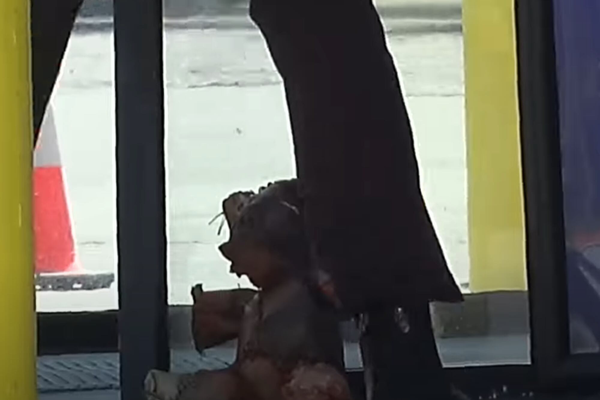 Arrestan a hombre que dejó piel como de oso de peluche en Victorville. Foto: captura pantalla YouTube VVNG
