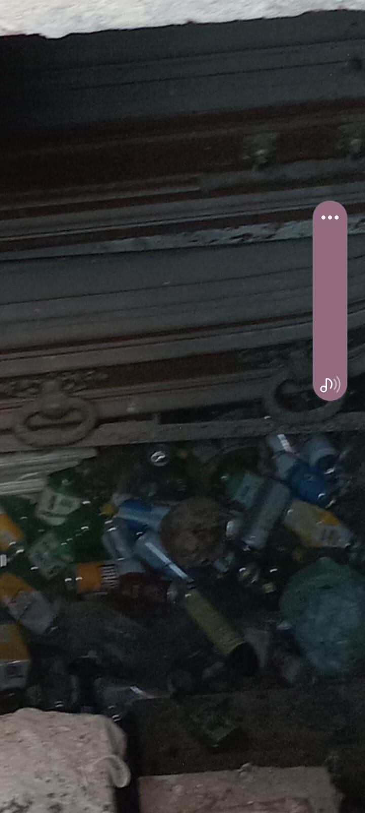 Bóvedas vandalizadas y profanadas en el cementerio municipal de La Plata