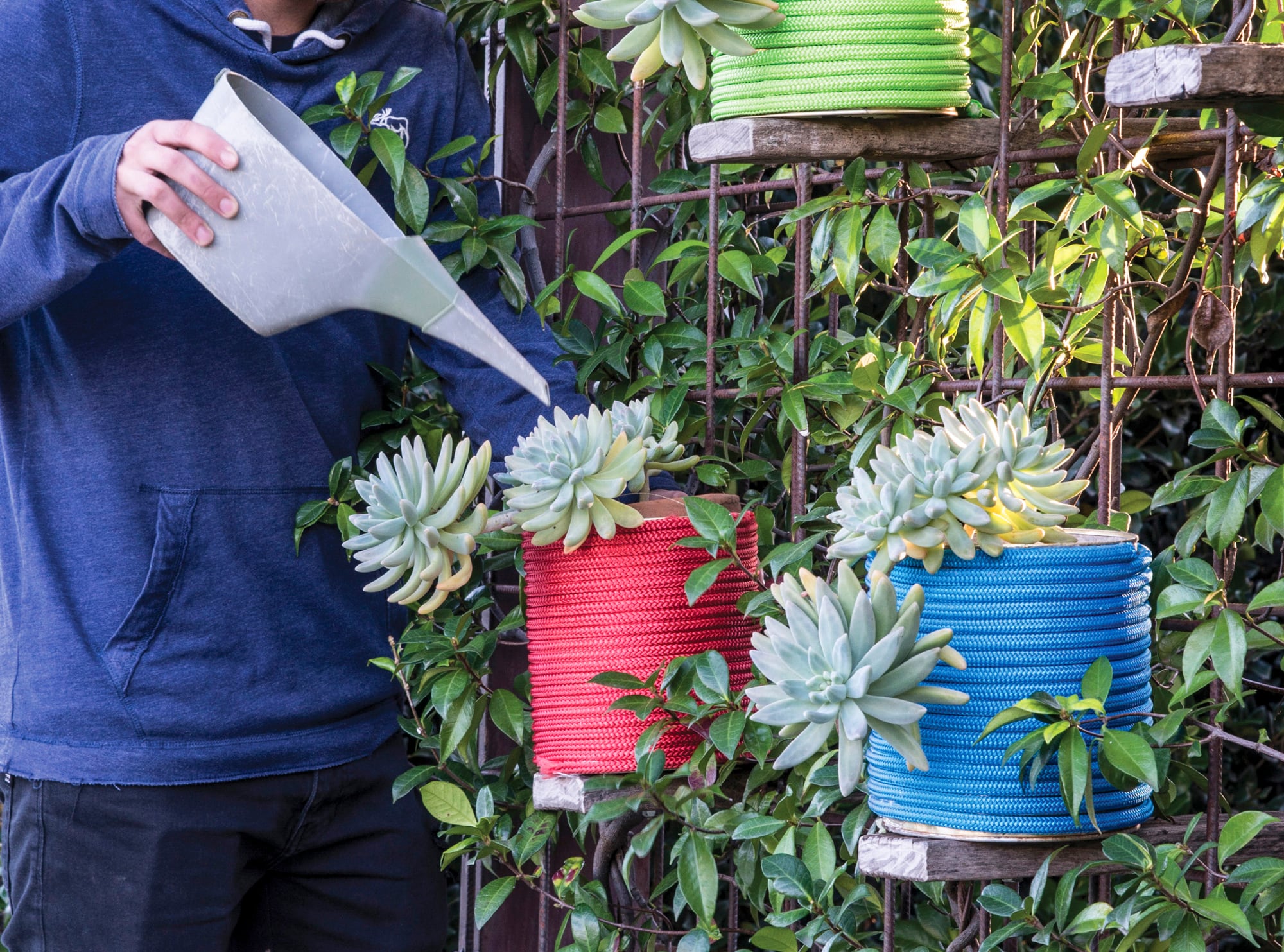 A veces, el rincón menos pensado es el terreno más fértil