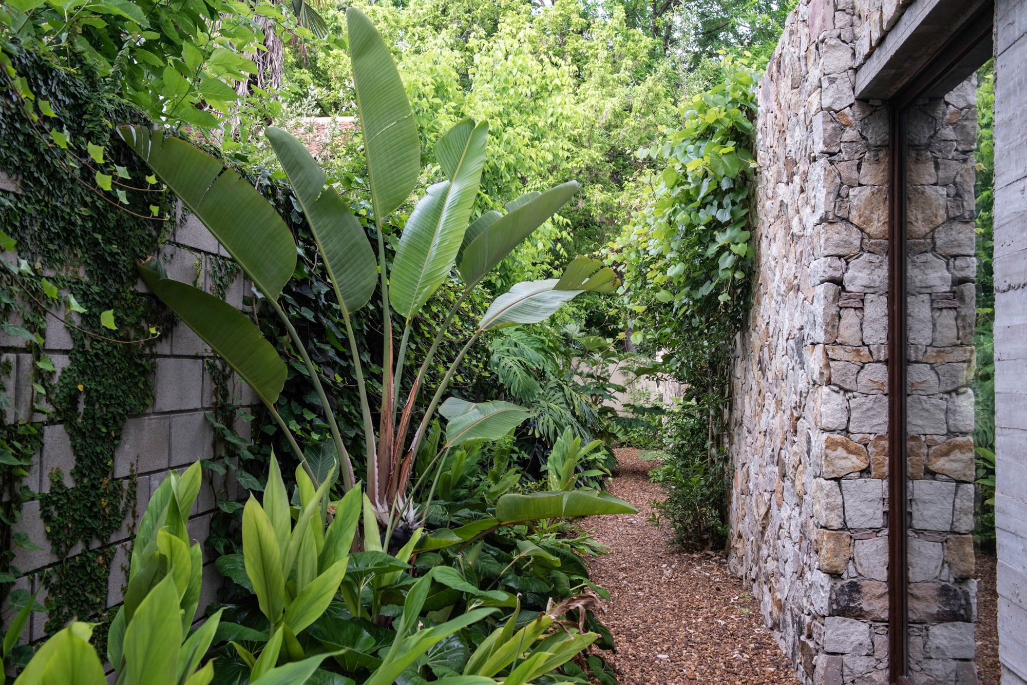 En lugar de elegir especies de manera individual, el paisajismo organiza la plantación en niveles para ganar altura y generar atmósferas