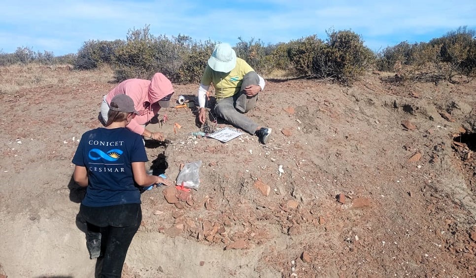 Especialistas del Cesimar y del IdeAus realizando trabajo de campo