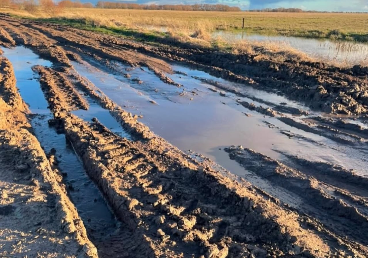 La Sociedad Rural de Azul advirtió por problemas en distintos puntos de la red de caminos rurales
